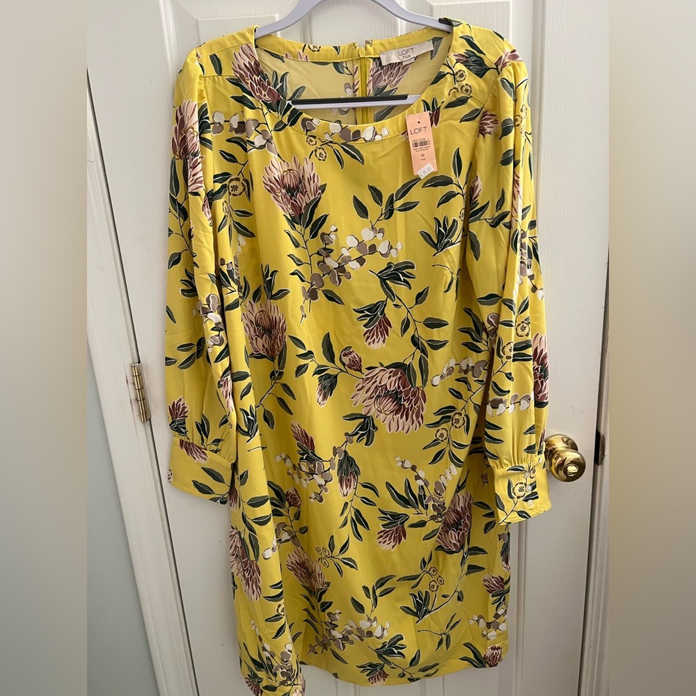 NWT - Loft - Plus Size Dress